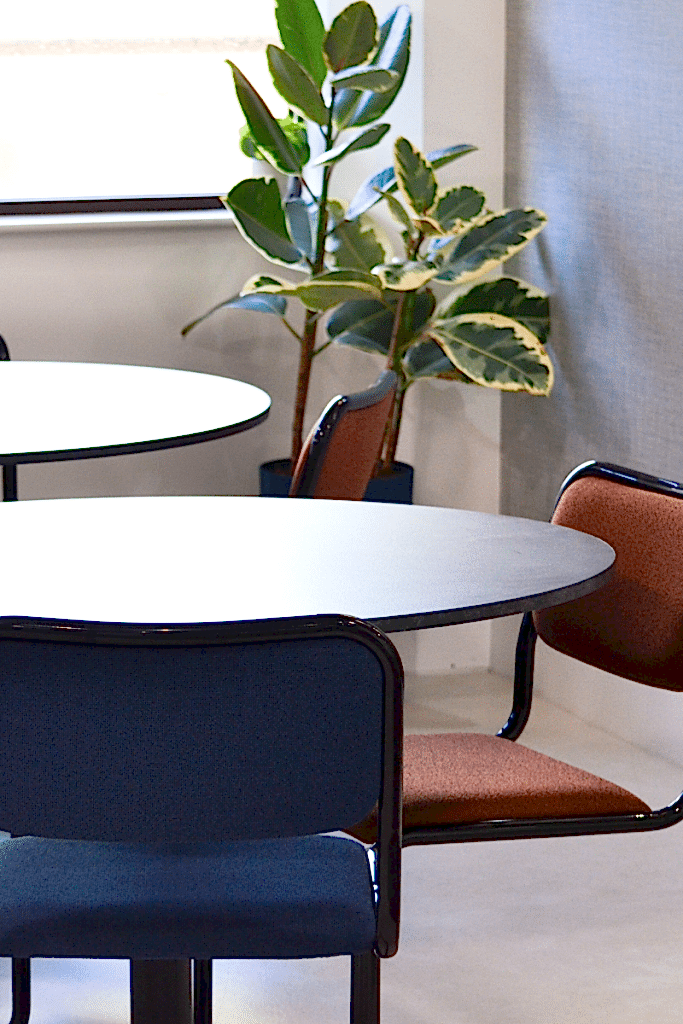 Office breakout seating with round white tables, upholstered chairs and indoor planting.