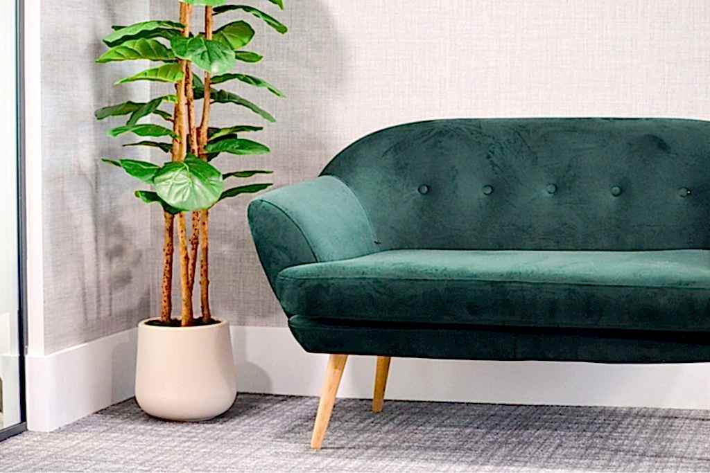 Green velvet sofa with timber legs and indoor plant in contemporary workspace lounge.